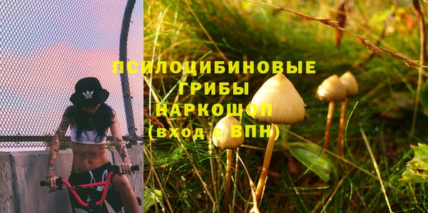 скорость Богородск